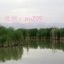 ̫
