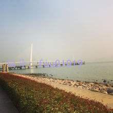 ֳ