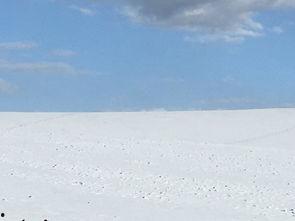 娱乐吃瓜洲,揭秘娱乐圈背后的那些事儿